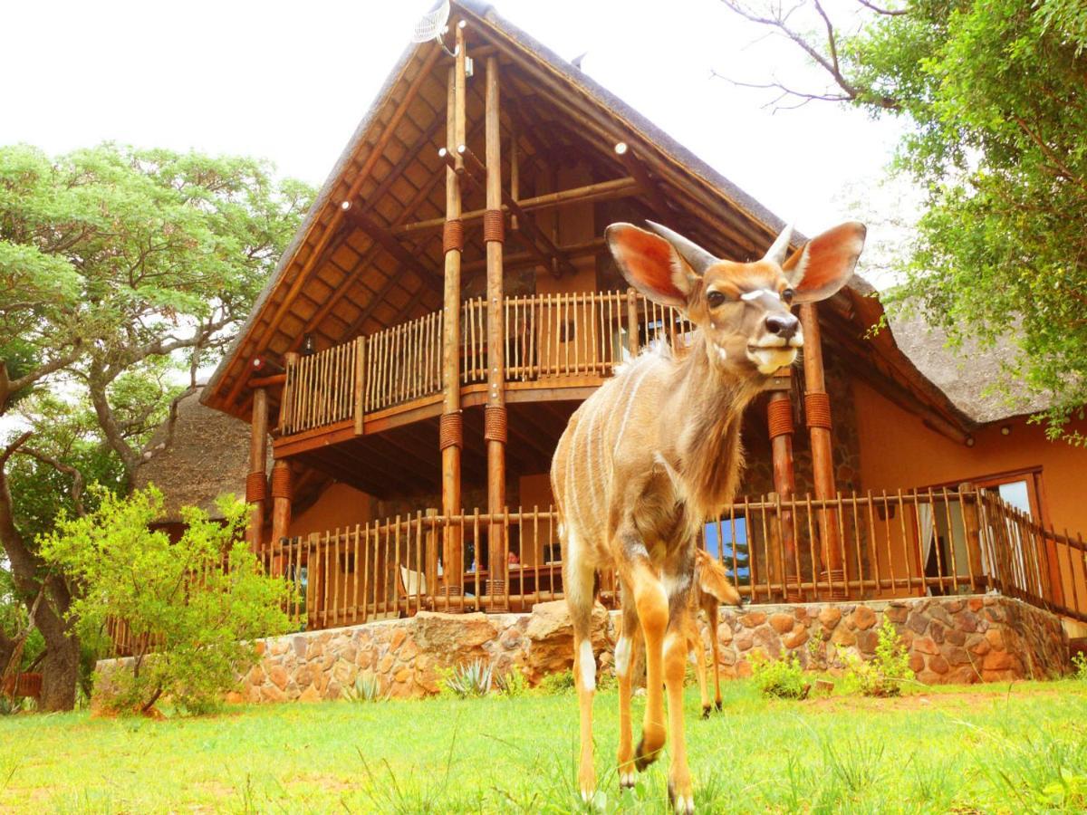 Kololo Game Reserve Vaalwater Exterior foto